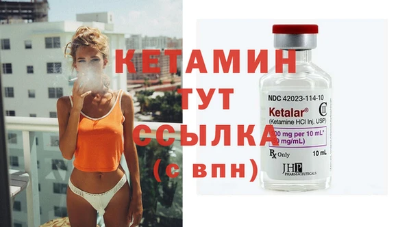 дмт Богданович