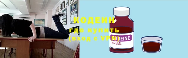 дмт Богданович