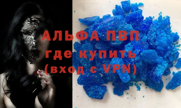 дмт Богданович