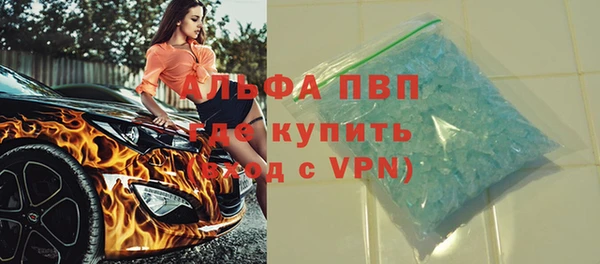 дмт Богданович