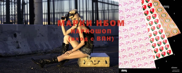 дмт Богданович