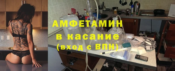 дмт Богданович