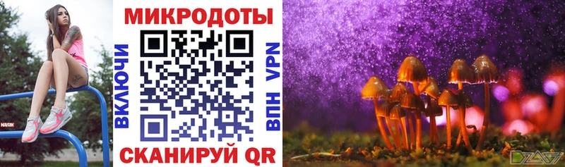 Галлюциногенные грибы Cubensis  Купить где  Моршанск 